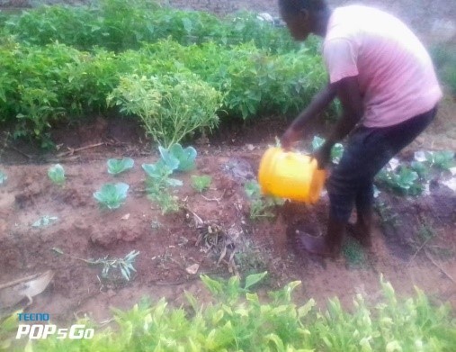 Un jardin potager entretenu par les bénéficiaires eux-mêmes.